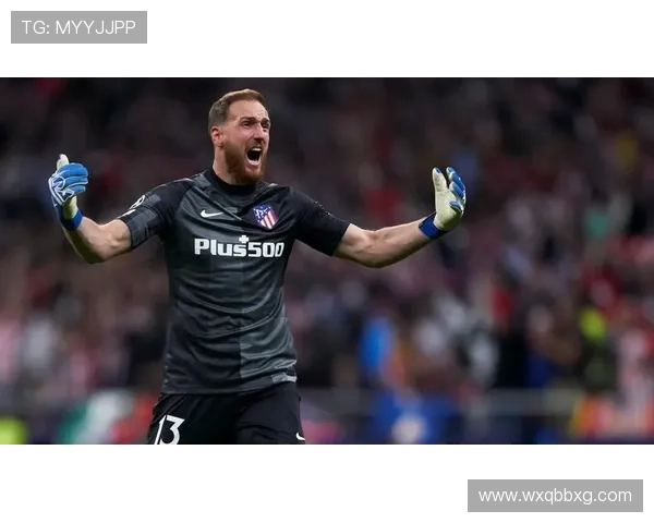 奥布拉克是否斯洛文尼亚国家队历史最佳门将