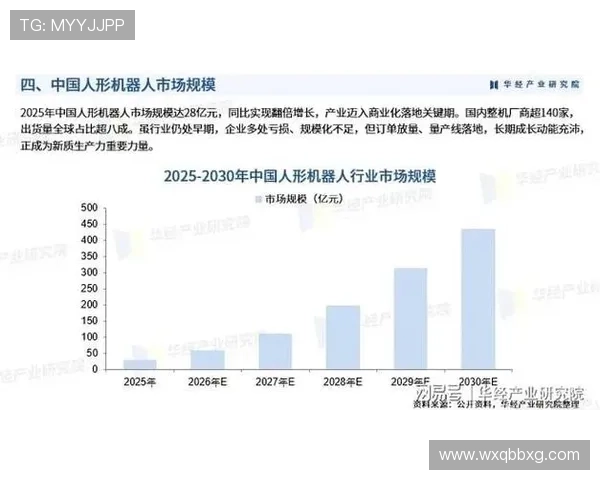 J组竞争格局全面解读